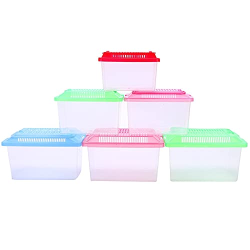 Fish Tank Mini Fish Tank Portable Pet Crate Climbing Breeding Box Breeding Box Reptile Square Box Hamster Transport Breeding Tortoise Box Aquarium Tank (Color : Random Color, Size : 13X9X9CM) - size: 13X9X9CM