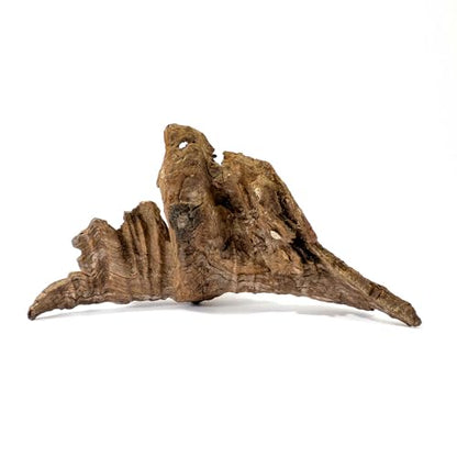 Galápagos (05285) Sinkable Driftwood Bed, Natural, Medium/11-13" - size: Medium/11-13"