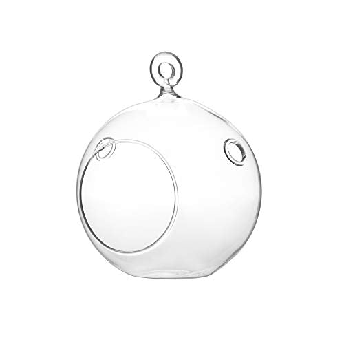 WGV Hanging Terrarium Globe, Width 4", Height 4.75", DIY Air Planter, Clear Glass Round Vase, Candle Holder, Home Office Decor Orb, 1 Piece - size: 4" Flat Bottom