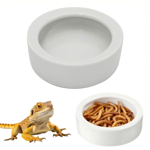 Reptile Food Dish Bowl, 2 Pack Lizard Gecko Ceramic Mealworms Bowls for Leopard Bearded Dragon Chameleon Hermit Crab Dubia Cricket Anti-Escape Superworm Feeder (Medium-1Pack) - size: Medium-1Pack