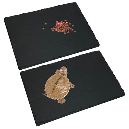 Tfwadmx Reptile Basking Platform Tortoise Feeding Dish Natural Rock Food Bowl Landscape Habitat Decor for Turtle Lizard Bearded Dragon Crested Gecko Snake 2Pcs - size: 2pcs-12"x6"