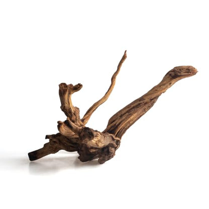 emours Natural Aquarium Driftwood, Upright Root Style Wood for Fish Tank Decor, Unique Driftwood for Aquascape, Terrarium and Reptile Display, 1 Piece (8-12" (20-30 cm)) - size: 8-12" (20-30 cm)