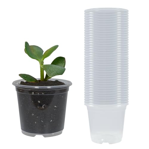 40 Pack 3 Inch Clear Nursery Pots with Drainage Plant Pots for Plants Transparent Potting Containers for Plants Seeding Starter Pot (Clear, 3 Inch 40 Pcs) - size: 3 Inch 40 Pcs