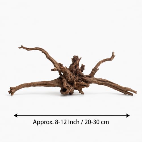 emours Natural Aquarium Driftwood, Horizontal Root Style Wood for Fish Tank Decor, Unique Driftwood for Aquascape, Terrarium and Reptile Display (8-12" (20-30 cm)) - size: 8-12" (20-30 cm)