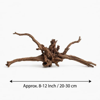 emours Natural Aquarium Driftwood, Horizontal Root Style Wood for Fish Tank Decor, Unique Driftwood for Aquascape, Terrarium and Reptile Display (8-12" (20-30 cm)) - size: 8-12" (20-30 cm)