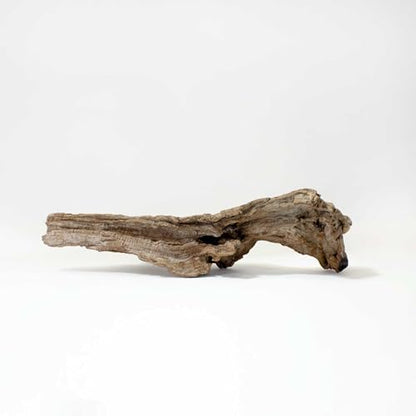 Galápagos (05285) Sinkable Driftwood Bed, Natural, Medium/11-13" - size: Medium/11-13"
