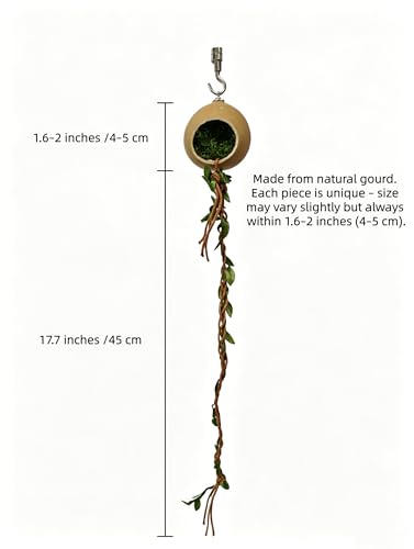 Magnetic Jumping Spider Hide, 2 Pack Spider Hideout with Strong Magnets Hide with Hook & Climbing Rope, Natural Looking Spider Hide Jumping Spider Accessories for Tarantula Enclosure