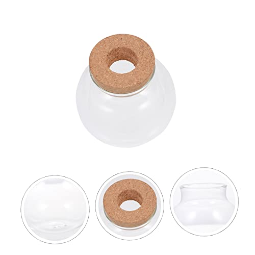 Abaodam Glass Terrarium for Plants Home Decoration Bottle Lid for Landscape Office Decor and Fish Keeping Container - size: 12X10X10CM