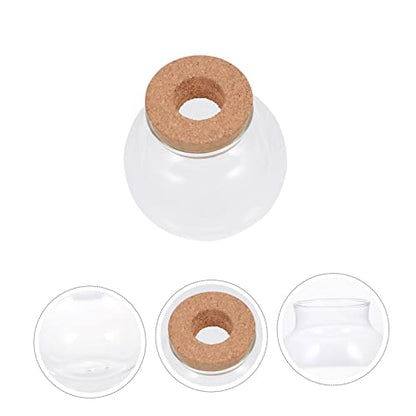 Abaodam Glass Terrarium for Plants Home Decoration Bottle Lid for Landscape Office Decor and Fish Keeping Container - size: 12X10X10CM