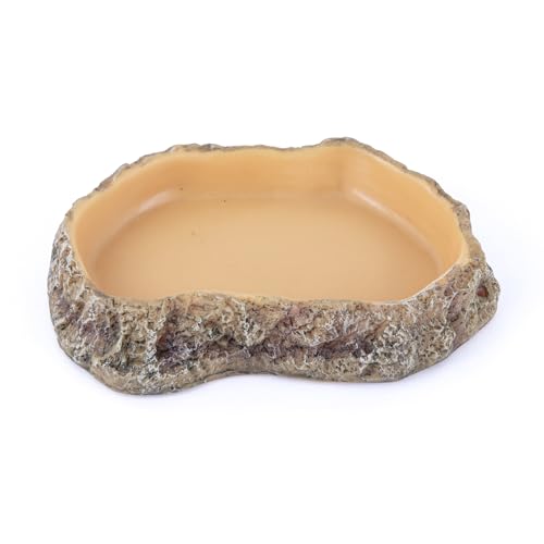 Reptile Food Dish, Terrarium Water Bowl, Feeding Bowl for Reptile Amphibian Pets - size: Small