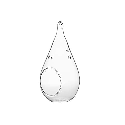 WGV Glass Hanging Plant Terrarium, Width 3.5", Height 7", Teardrop DIY Air Succulent Planter Clear Tea Light Votive Candle Holder, Wedding Event Office Home Outdoor Decor, 1 Piece - size: Teardrop M