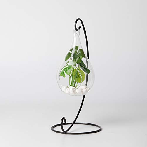 WGV Glass Hanging Plant Terrarium Bulk, Width 3", Height 5.5", Teardrop DIY Air Succulent Planter Clear Tea Light Votive Candle Holder, Wedding Event Office Home Outdoor Decor, 3 Pieces