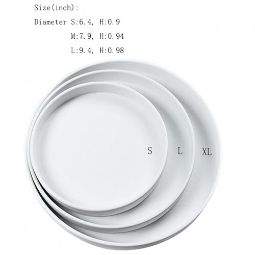 OMEM Reptile Food Bowl Water Dish,Feeding Dish, Birds Bowl (M, White) - color: White, size: Medium