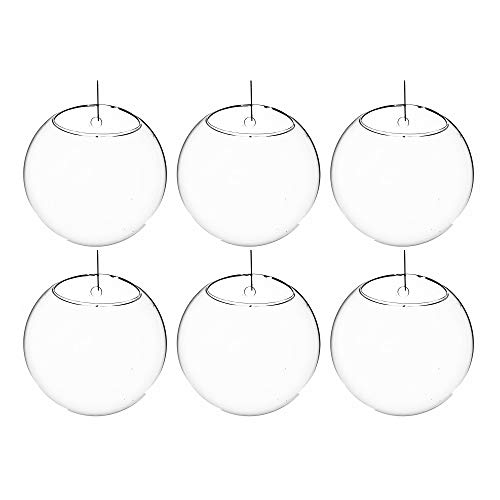 WGV Wall Hanging Planter Terrarium Bulk, Diameter 6", Clear Mounted DIY Succulents Air Glass Floral Container Vase, Tea Light Votive Candle Holder for Decoration 6 Pieces - size: 6"D