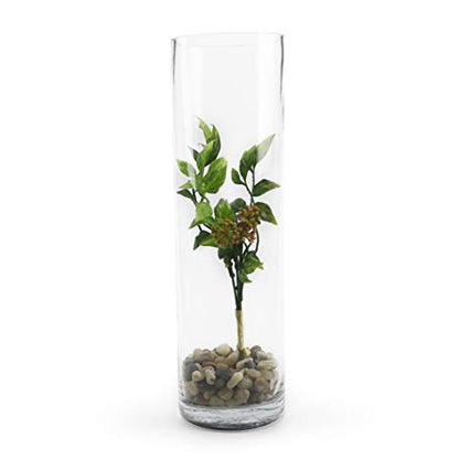 WGVI Quality Thick Weighted Tall Clear Cylinder Glass Vases, 4" W x 14" H, Flower Arrangement Floating Candle Holders Wedding Centerpieces Floral Bouquet Container Home Accent Decor, 1 Piece - size: 4"x14"H