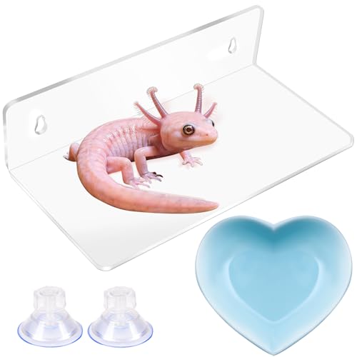 Axolotl Hammock Ledge with Feeding Dish, Aquarium Hideout for Axolotl Tank | Axolotls Tank Accessories,Bearded Dragon Tank Accessories