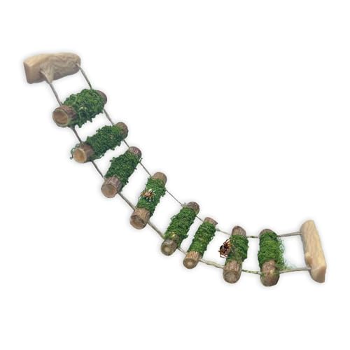 Jumping Spider Rope Bridge,A Solid Wood Climbing Suspension Bridge, a Jumping Spider Enclosure Accessory, Handmade, a Spider Jump Platform, Used As a Decorative Accessory for Small Reptile Enclosures