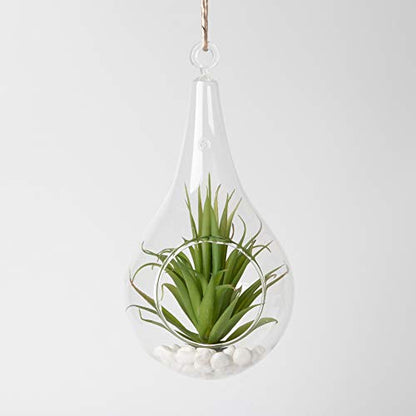 WGVI WGV Glass Hanging Plant Terrarium, Width 4.75", Height 9.5", Teardrop Pear DIY Air Succulent Planter Clear Tea Light Votive Candle Holder, Wedding Event Office Home Outdoor Decor, 1 Piece - size: Pear