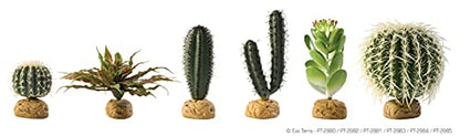 Exo Terra Barrel Cactus Terrarium Plant, Medium | Terrarium Plant - size: Medium, style: Barrel Cactus
