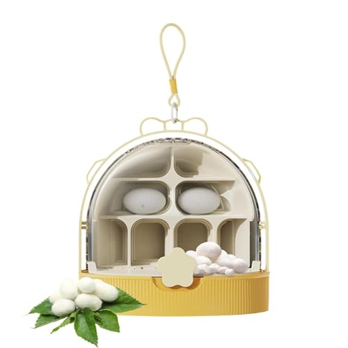 Silkworm Transport Container Clear Breathable Silkworm Observation Box | Reptiles Habitat for Indoor Raising Science Projects Outdoor Activities Teens Camping Backyard