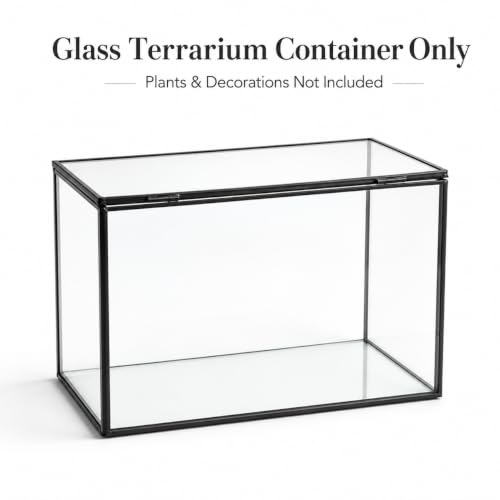 Glass Plant Terrarium with Lid, Rectangular Black Metal Frame Box for Indoor Plants, Clear Glass Container for Moss, Succulent, Fairy Garden, Tabletop Decor DIY Gift, 8.3”L x 4.7”W x 5.5”H - size: Large Rectangle