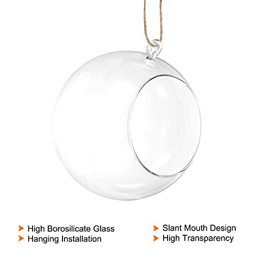 PATIKIL Round Globe Terrarium Air Plant Planter, 6.3 Inch Clear | High Borosilicate Glass, Hanging Decorations, for Succulent, Tillandsia - size: 6.3 Inch