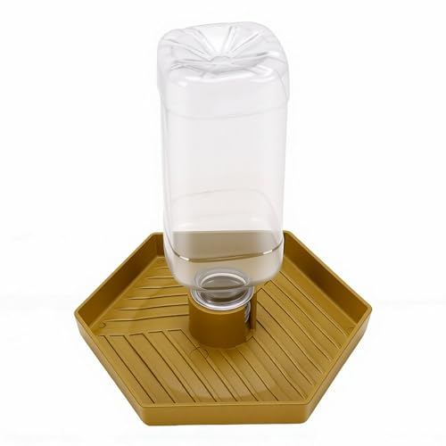 GLOGLOW Food and Water Bowl for Lizard Chameleon (Earthy Yellow) - color: Earthy Yellow