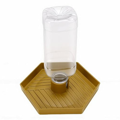 GLOGLOW Food and Water Bowl for Lizard Chameleon (Earthy Yellow) - color: Earthy Yellow