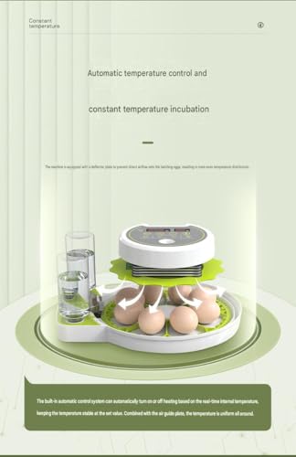 JUJOJB 12-Egg Incubator for Hatching Eggs, Auto Turner, Temp Control | Humidity and temperature control, egg candler, 360-degree window. For chicken, duck, quail, turkey eggs. Adjustable dividers. - color: Green