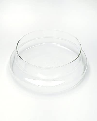 Handblown 7" Glass Terrarium with Opening for Air Flow & Cork Stopper Cloche Style Glass Dome Vivarium Display Case (Small) - size: Small