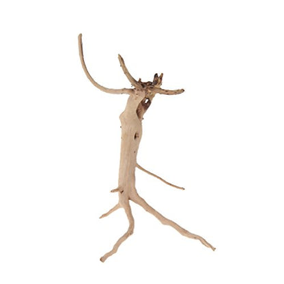 emours Natural Spider Wood Driftwood Vine Branches Reptiles Aquarium Decoration Assorted Sizes,Small,4 Pieces