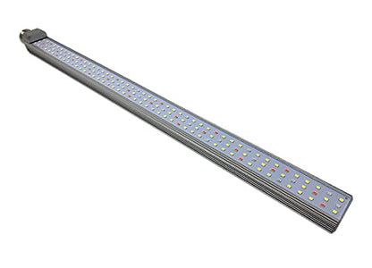 The Bio Dude 22" Glow & Grow Best Plant Growth Reptile & Amphibian LED Bulb for terrariums