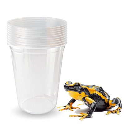 Snout and Shell Deli Cups with Fabric Vented Lids, 10 Pack - Secure Fruit Fly & Insect Cultures, Prevent Escapes & Contaminants, Easy Fruit Fly Media Preparation, Hot Liquid Safe - size: 32oz/10 cups
