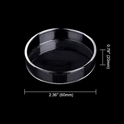 WEAVERBIRD 60mm Aquarium Shrimp Feeder Dish Glass Fish Tank Feeding Bowls Round Clear Dishes Tray - size: 60MM