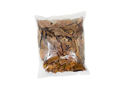 The Bio Dude Leaf Litter - Water Oak Litter - Great for bioactive terrariums, vivariums and Fish