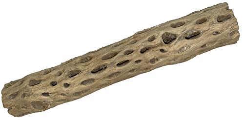 Awesome Aquatic XL Cholla Wood Tubes, Teddy Cane, 12" x 2–3" | XL Hideouts • Hollow tubes • Natural biofilm surface • Secure hideouts • Shrimp plecos hermit crabs reptiles • Natural décor - size: XL 12 in x 2-3 in Diameter