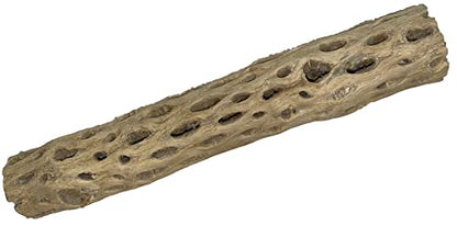 Awesome Aquatic XL Cholla Wood Tubes, Teddy Cane, 12" x 2–3" | XL Hideouts • Hollow tubes • Natural biofilm surface • Secure hideouts • Shrimp plecos hermit crabs reptiles • Natural décor - size: XL 12 in x 2-3 in Diameter
