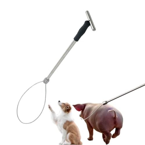 Pig Catcher Pole,Dog Catcher Pole,Animal Control Pole,Stainless Steel Pig Contro Holder,Dog Catch Rod Noose Holder Tool,for Dog Pig Swine Animals Livestock - color: Sliver