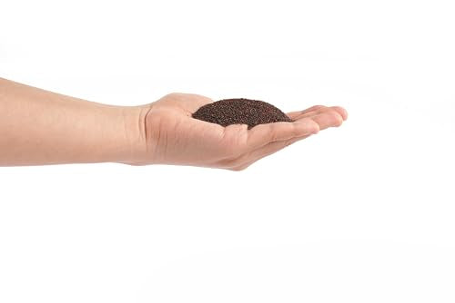 Congo Aquascapeing Sand for Aquarium Landscape 2L(9lbs) X2pcs, Brown, Aquarium Natural Fine Decorative Sand, Tropical Rainforest Biotope Aquariums, Depth Enhancing, 0.4-0.9mm - size: L,2Lx2pk