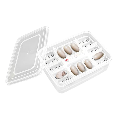 Reptile Egg Incubator Box Incubation Box Hatching Case Hatching Tray | 16 Grids Transparent Reptile Incubator for Snake Lizard Turtle Gecko Chameleon Bearded Dragon Leopard Gecko Egg Incubation - color: B