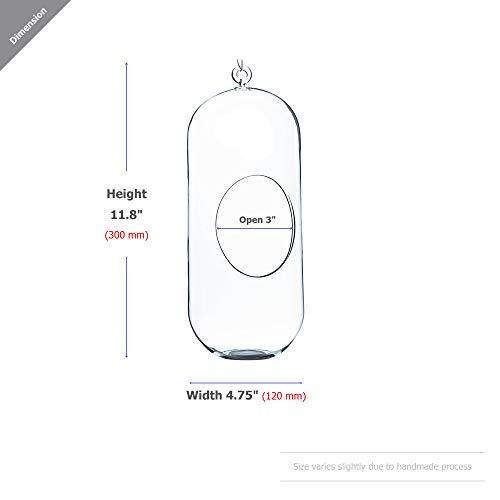 WGV Hanging Glass Plant Terrarium, Width 5", Height 12", Lantern DIY Air Succulent Planter Clear Tea Light Votive Candle Holder, Wedding Event Office Home Outdoor Decor, 1 Piece