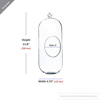 WGV Hanging Glass Plant Terrarium, Width 5", Height 12", Lantern DIY Air Succulent Planter Clear Tea Light Votive Candle Holder, Wedding Event Office Home Outdoor Decor, 1 Piece