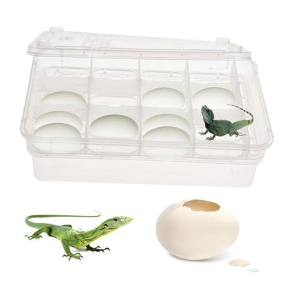NOLITOY Compartment Isolation Box for Reptile Egg Incubation Hatching Box for Snakes Turtles Geckos and Lizards Easy to Clean and Manage