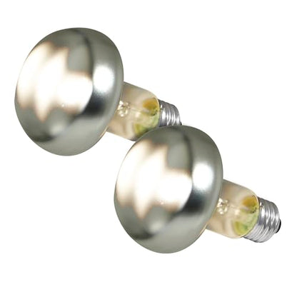 Zoo Med - Bulb BASKING SPOT 100W Value 2pk- Pack of 3.
