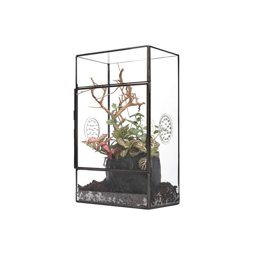 NCYP Glass Enclosure for Large Jumping Spider - 5.1" x 3.9" x 9" Front Opening Door Glass Terrarium with 3 Vent Holes, Small Snail, Insects Habitat, Black (Terrarium Only)
