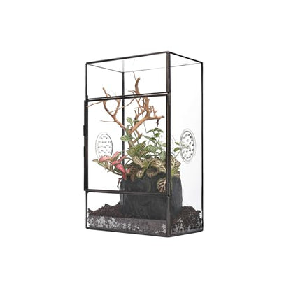 NCYP Glass Enclosure for Large Jumping Spider - 5.1" x 3.9" x 9" Front Opening Door Glass Terrarium with 3 Vent Holes, Small Snail, Insects Habitat, Black (Terrarium Only)