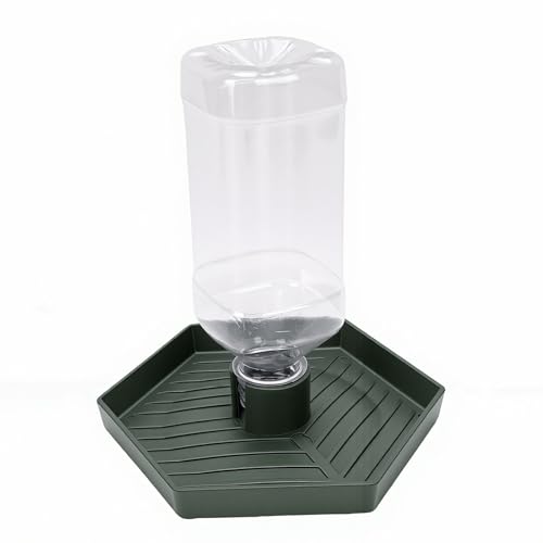 GLOGLOW Food and Water Bowl for Lizard Chameleon (Dark Green) - color: Dark Green