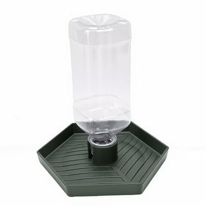 GLOGLOW Food and Water Bowl for Lizard Chameleon (Dark Green) - color: Dark Green