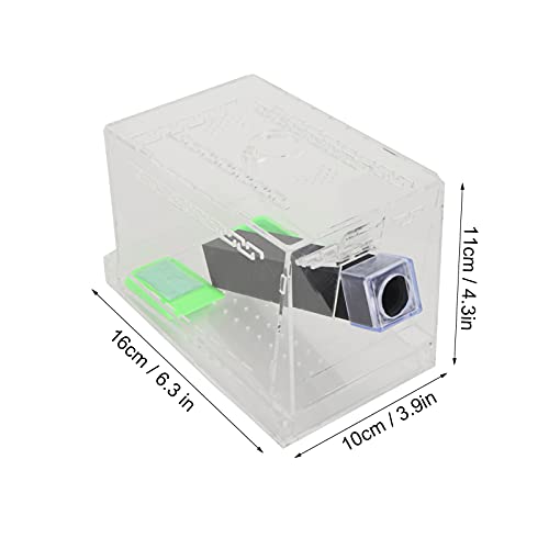 Acrylic Feeding Cricket, Pen with Tubes Cockroach Cricket Keeper Small Crickets Keepers Care Kit Reptile Boxl (S, 50X50X20Cm / 19.7X19.7X7.9In)