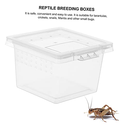 IMIKEYA 20pcs Reptile Breeding Box for Snakes Geckos Tarantulas and Frogs Enclosure for Pets Lightweight and Wear-Resistant Reptile Container